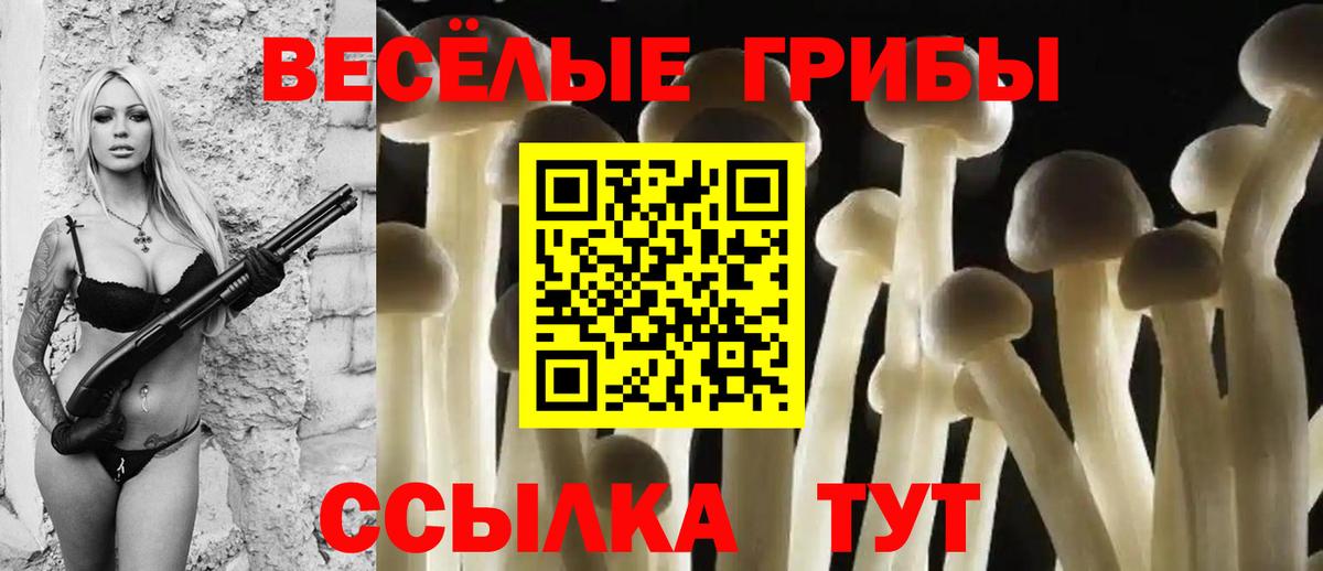 Галлюциногенные грибы прущие грибы Заволжье