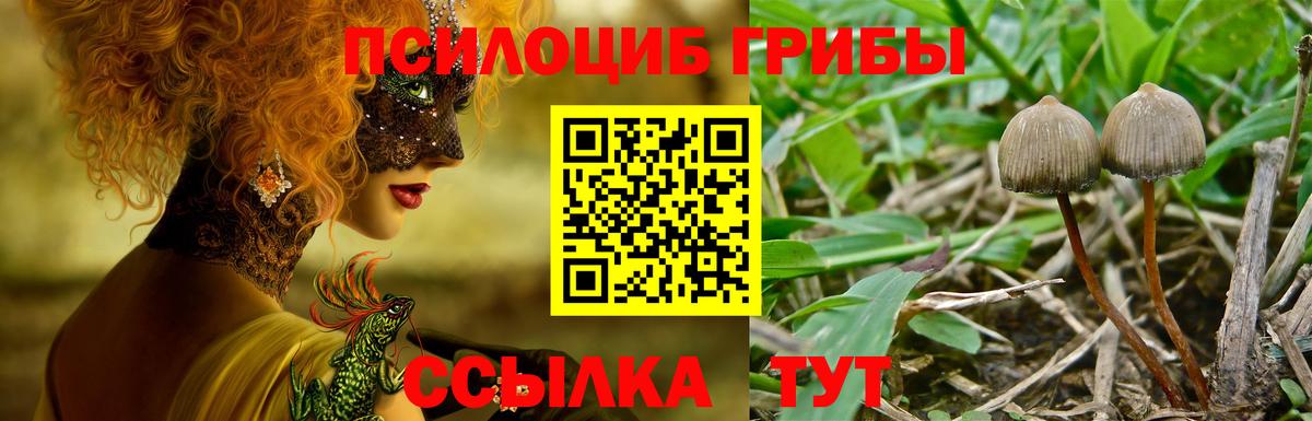 Заволжье  Галлюциногенные грибы MAGIC MUSHROOMS  Вход с VPN 